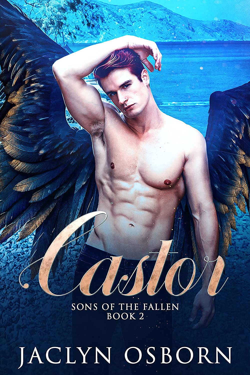 Cover of Castor by Jaclyn Osborn